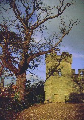 Warwick Castle 6